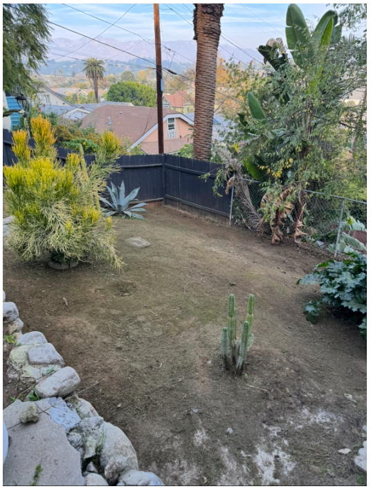 Hillside backyard after cleanup