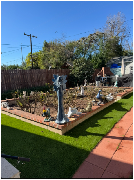 Pruned rose garden with tidy beds and clear focal point