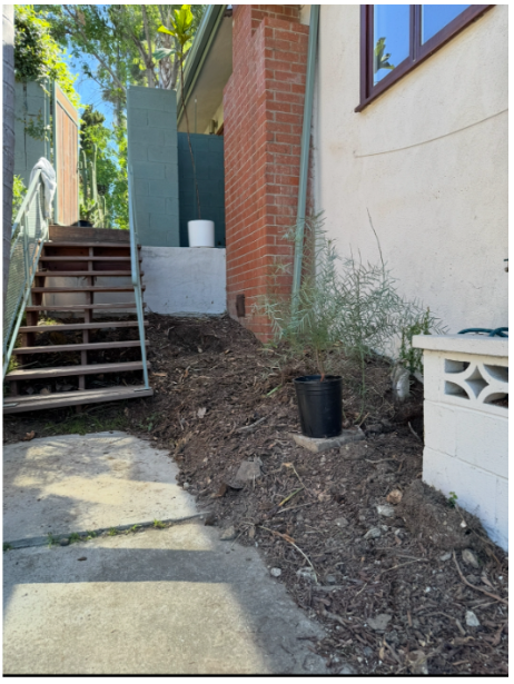 Side yard cleared with open stairway and fresh mulch
