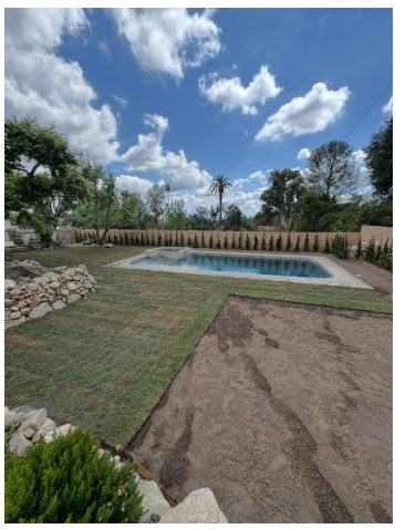 Fresh green sod installed beside pool