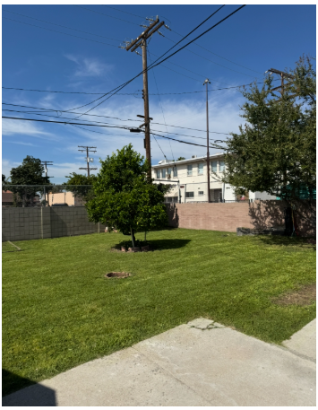 Freshly mowed lawn with clean even cut
