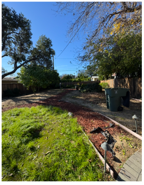 Bare backyard beds before renovation
