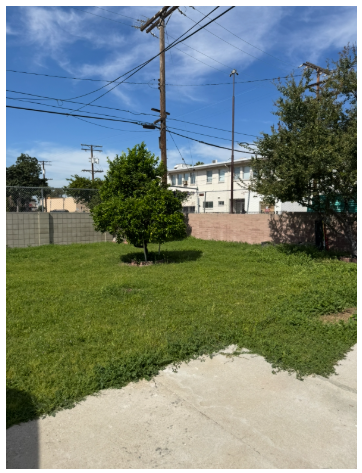 Overgrown lawn before mowing